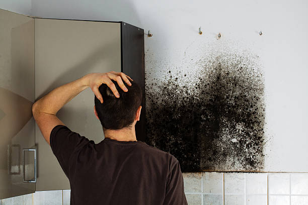 Best Office Mold Removal Services  in Congers, NY